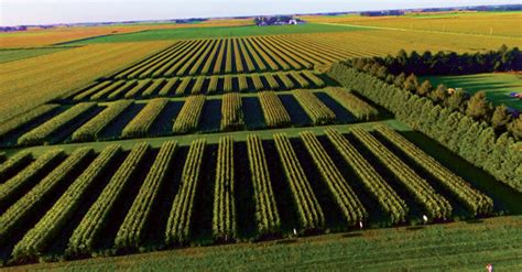 Strip farming .